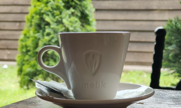 Are Ceramic Coffee Mugs Good for Cafés? 10 Things to Consider