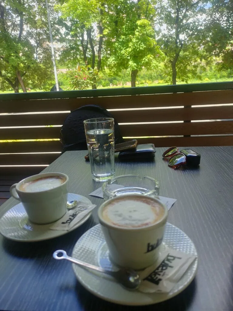 two ceramic coffee cups on a table with greenery in the background.